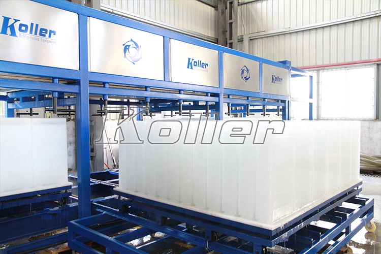 Large Capacity 10 Tons/Day Ice Block Machine Widely Used for Fishery Purpose
